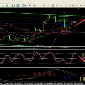 ���y��Ӎ-��Ī�ܣ���Ϣ�_�y�����y�͑n�����磬�q���y��