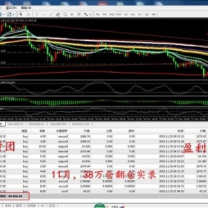 �쵓ؔ�F���S��Ͷ�Y���׵�̎��