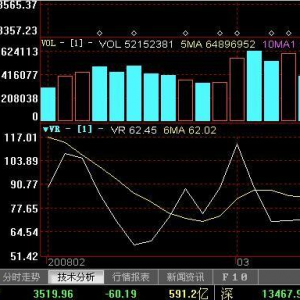 VRָ��-ʲô��VRָ��-(���)