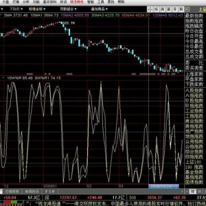 ����ָ��-ʲô������ָ��-(���)