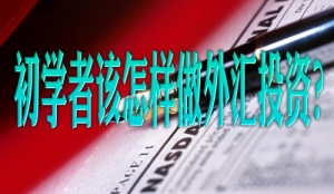 ���W��ԓ��������RͶ�Y��