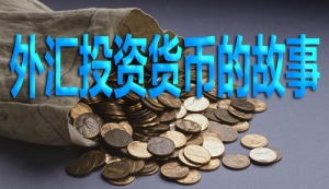 ��RͶ�Y؛�ŵĹ���