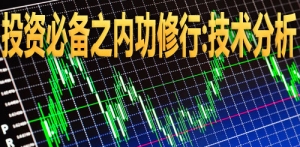 Ͷ�Y�؂�֮��(n��i)������:���g(sh��)����