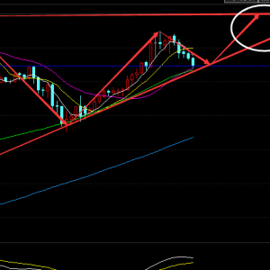 ���꣺Ԫ����(ji��)�^�ˣ���Ҫ�_ʼæµ��