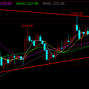 ����Փ���S��ԭ�ͺ���څ�ݷ���