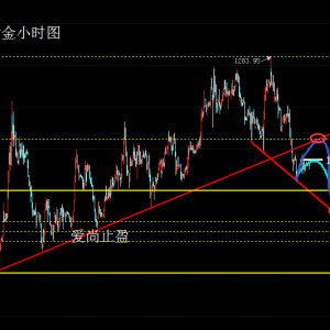 ����ֹӯ��ȫ��۽�FOMC�Q�h���S���Ј�һ�|���l��