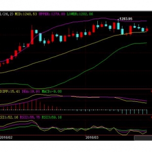 ���יC������ �S�������������̾����������