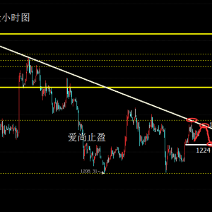 ����ֹӯ���S������Ϲ�Ī�£�څ�ݾ������f���գ�