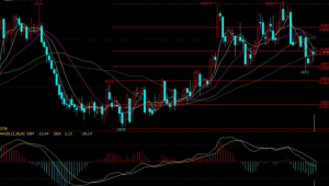 �C���F���٣����oҪ�o���� ���y����ƫ��