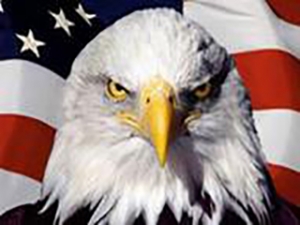 �C���F���٣������نT���ɴ� ���y�_�߻���