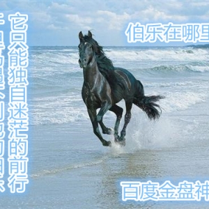 �ώ����ڣ������������У�ãã�˺��������yҒ��֪���y����