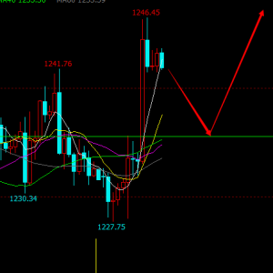 ����Փ���S��M�P��ʎ�����g1236����