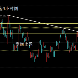 ����ֹӯ���S�𷴏����ܪq�棬���w���^��ֲ��ģ�