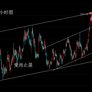 ����ֹӯ���S��������׷�࣬픲����ƴ��_�J��