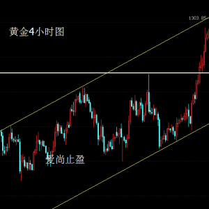 ����ֹӯ���S�𿴿���׷�գ�����1258��֧�Σ�