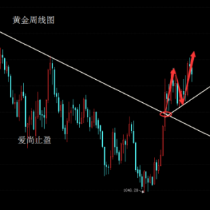 ����ֹӯ�����H�S��������2016��8�·�֮ǰͻ��1400��Ԫ/��˾�P����