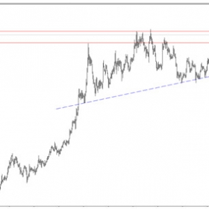 XCOQ�ۿͽ��ڣ��S�����P���٬F(xi��n)�ٲ����� ��(w��n)��1278�_��