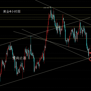 ����ֹӯ�����������򉺽��r���S���j��@�����D��