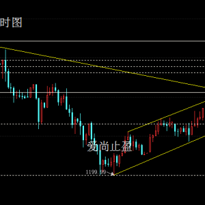 ����ֹӯ����������׷�࣬�Pע1221һ��������