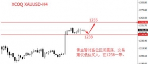 XCOQ�ۿ���R���S���^�m��λ������Ү����Փ��������