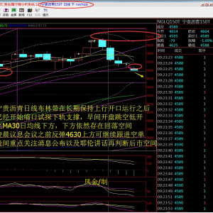 �P����ؔ������B���δ�M��Ү�������@ָ��