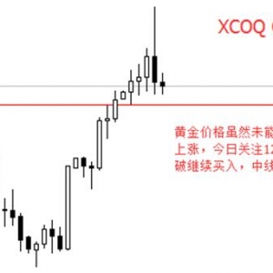 XCOQ�ۿͽ��ڣ�ӢÓ�W��������(d��ng)ʎ �S���{(di��o)�����I��