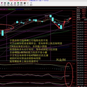 �P����ؔ��Ӣ����Ͷ����ü�ޣ�����»���������