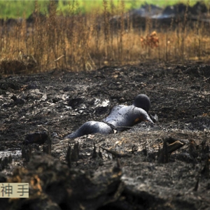 �a(ch��n)�ʹ�����ȁ�����(y��ng)�֏�(f��)��ԭ�͞r����Ȼ������߄ݷ���