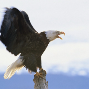 �����ؔ(c��i)������ڰ��y�Ј�(ch��ng)�г���