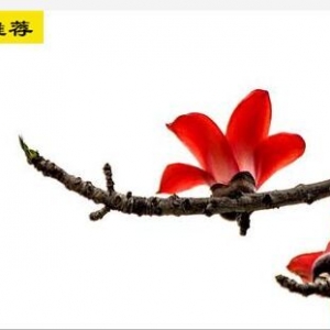 �����ؔ(c��i)�����(hu��)���׆�ԭ��ֹ֮�p������(g��)�`�^(q��)