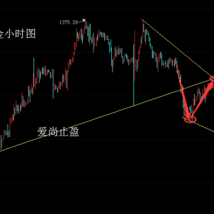 ����ֹӯ����P���r�������У�����1337�^�m(x��)���գ�