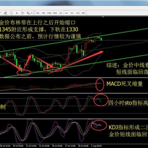 �P����ؔ������(sh��)��(j��)���ѽ��y����������ʧ���̓r���m(x��)����