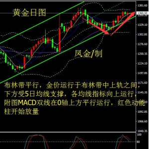 �P����ؔ���Q��(zh��n)�ϵ���r(n��ng)֮ҹ�����y���^��Ű���^