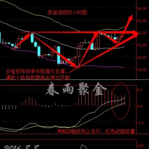 ����۽𣺃��a�걬���r�@���A�� �̓r�����Bꖡ����q��w�ߝq