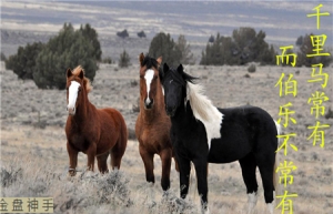 8.16���u��ԭ�͹��^��������y�ģ����е��Ծ������m(x��)�����gԭ����Ȼ��������h