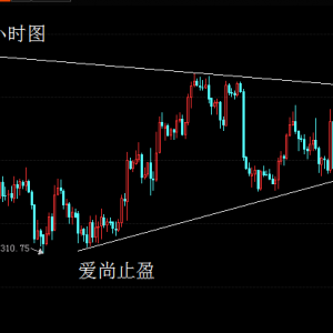 ����ֹӯ���h�T����ٝq���y���S���Pע1362���ƣ�