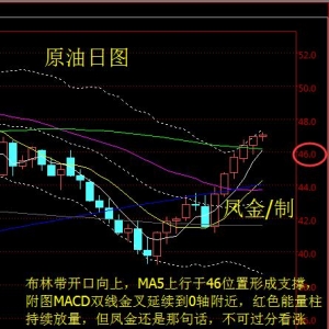 �P����ؔ�����ɼoҪ��ե��Ԫ���S�𷴏��Pע1360