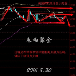 ����۽�8.30�����F؛ԭ�͡����y��������