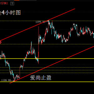 ����ֹӯ���S��������׷�գ�֔�������߷�����