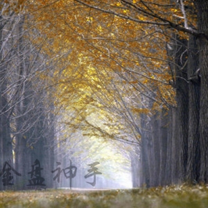 9.13����ԭ����Ȼ���_�P�߄�����ָ�����Նν���