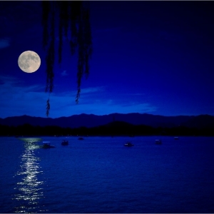 ���ʥ�֣���ɫ�����壬�̓r43��Ԫ���P�I���y��ʎ����