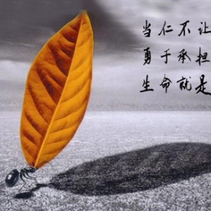 ���ʥ�֣�9.20���g��Ȼ�����¸������������y���m��ʎ��