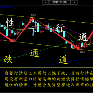 �������c(di��n)��10.8���u(p��ng)�����r(n��ng)���y�@�����D(zhu��n)�����������������