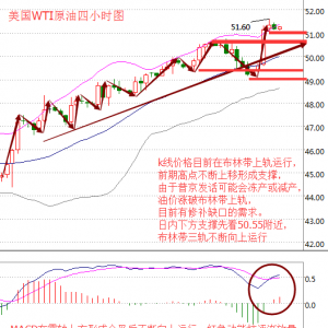 ����۽�10��11�գ������y��ՓQ�r���̓rV�ͷ��D�ք��¸�