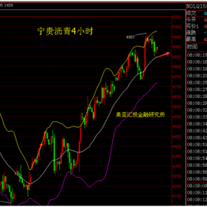 Ф�Y�£�10.12���g���F�r���������