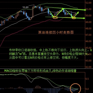 ����۽�������λ�R�p�ף�API�� �̓r��ָ51��Ԫ