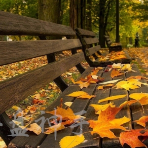 10.22���u��������������ԭ�͞r����y��Ȼ���_�P�����A�y