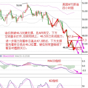 ����۽�11.2���������b������API�����̓r�������՞���