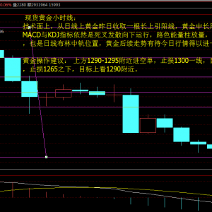 Ф�Y�£�11.10���g�S��/���F���y�������