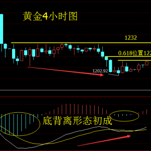 �_���x��11��21���S��q�ݲ��p��ԭ�Ͷ��^����